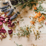 29.03.2026 Kräuteröle und Salben – Bild 3