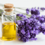 14.06.2026 Lavendel – Bild 3