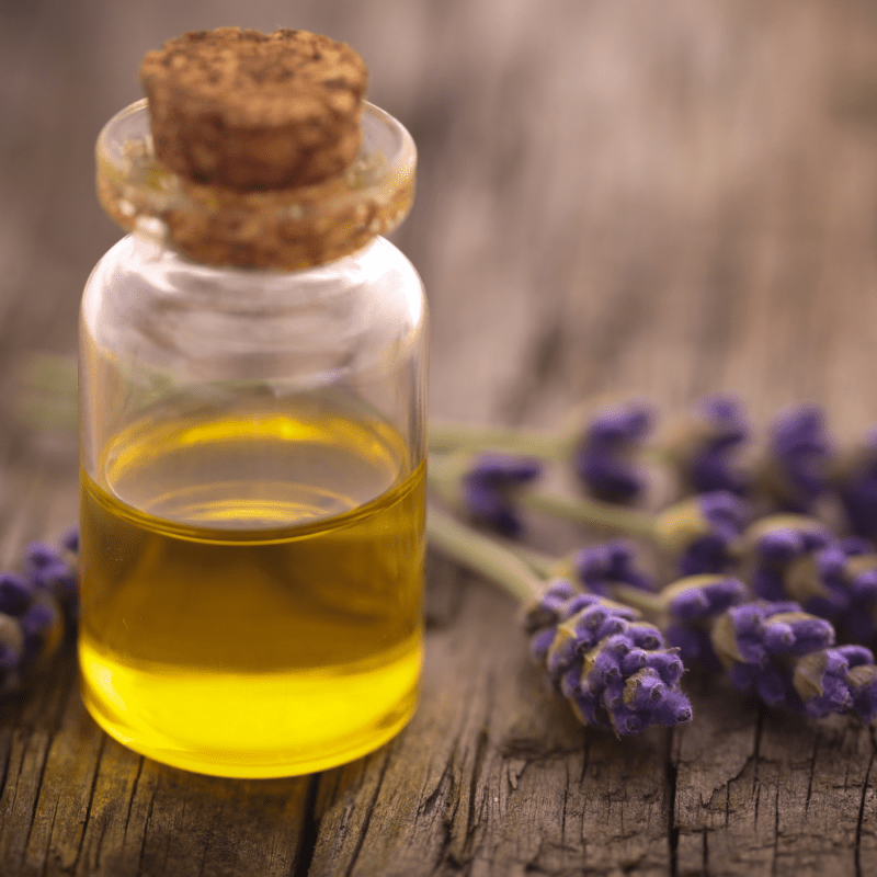 lavendelöl