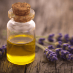 29.03.2026 Kräuteröle und Salben – Bild 4