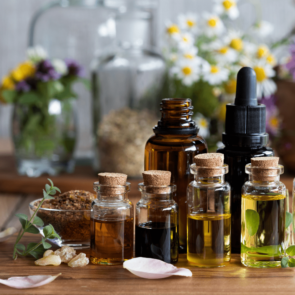 öle tinkturen 27.09.2026 Kräuterelexiere – Bild 1
