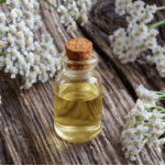 30.05.2026 Kräuterelexiere – Bild 3