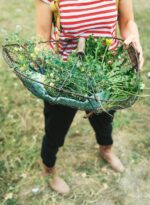 Wilde Wiese. Pflück dich glücklich! – Bild 2